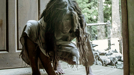 "Feral", de Andrés Kaiser "Feral", de Andrés Kaiser