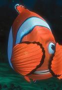 Buscando a Nemo